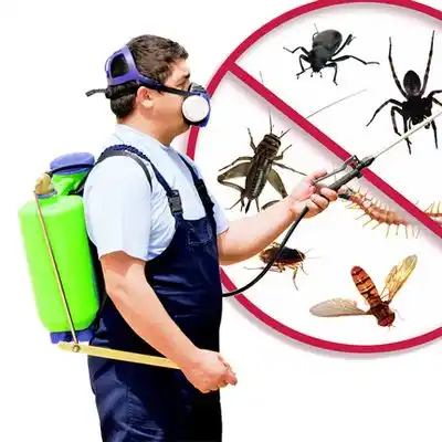 pest control Denham Springs
